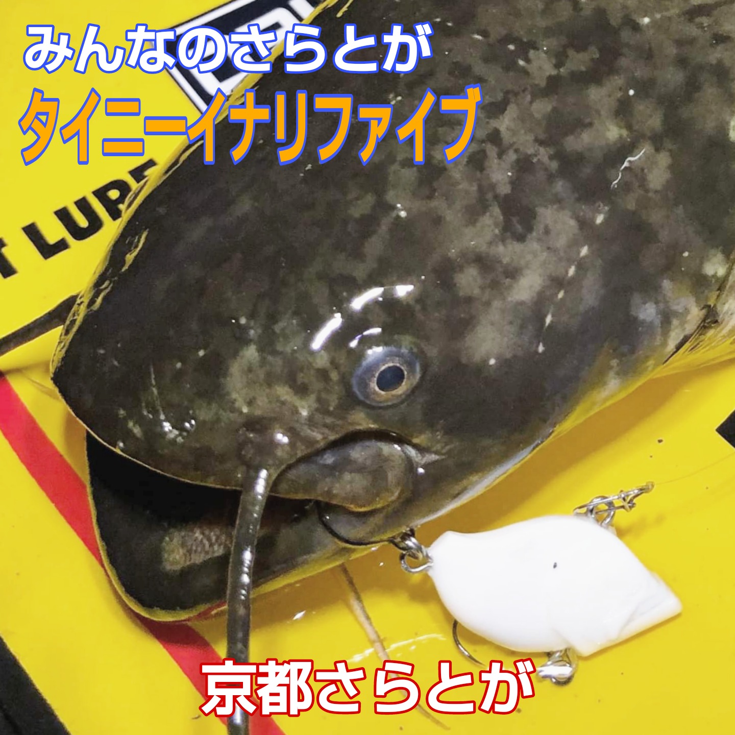 みんなのさらとが4月14日更新