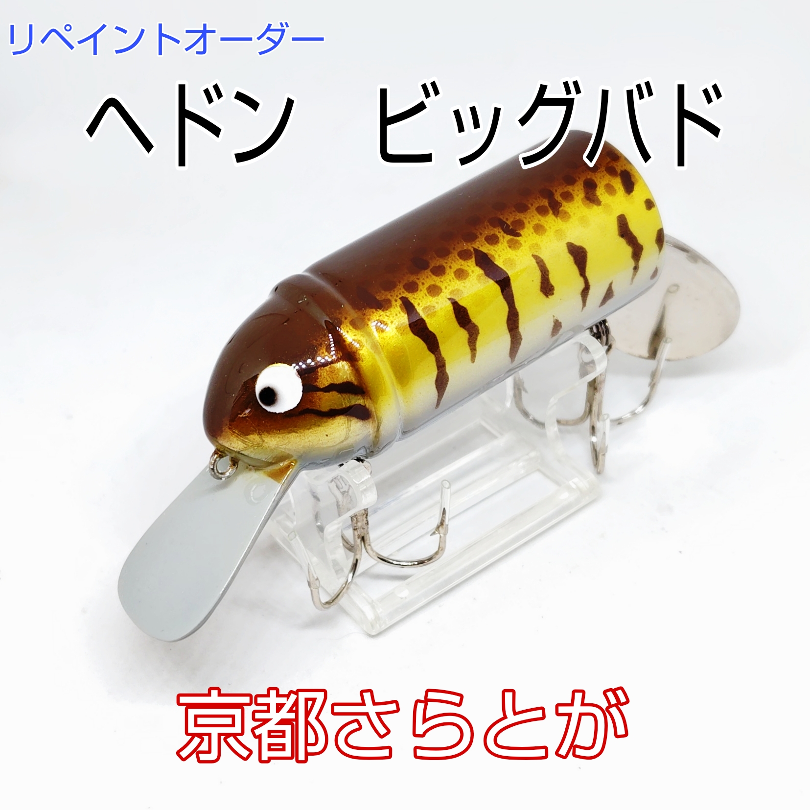 さらとが通信　2月22日更新