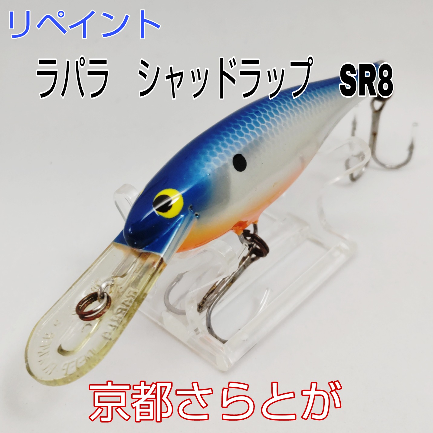 さらとが通信 5月9日更新