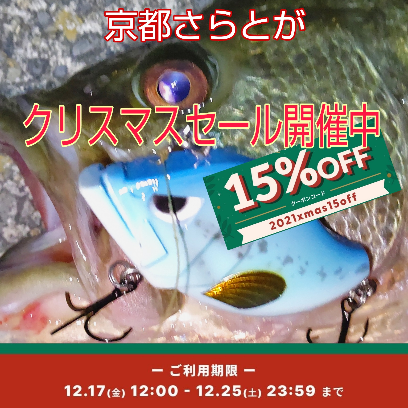 クリスマスセール開催中