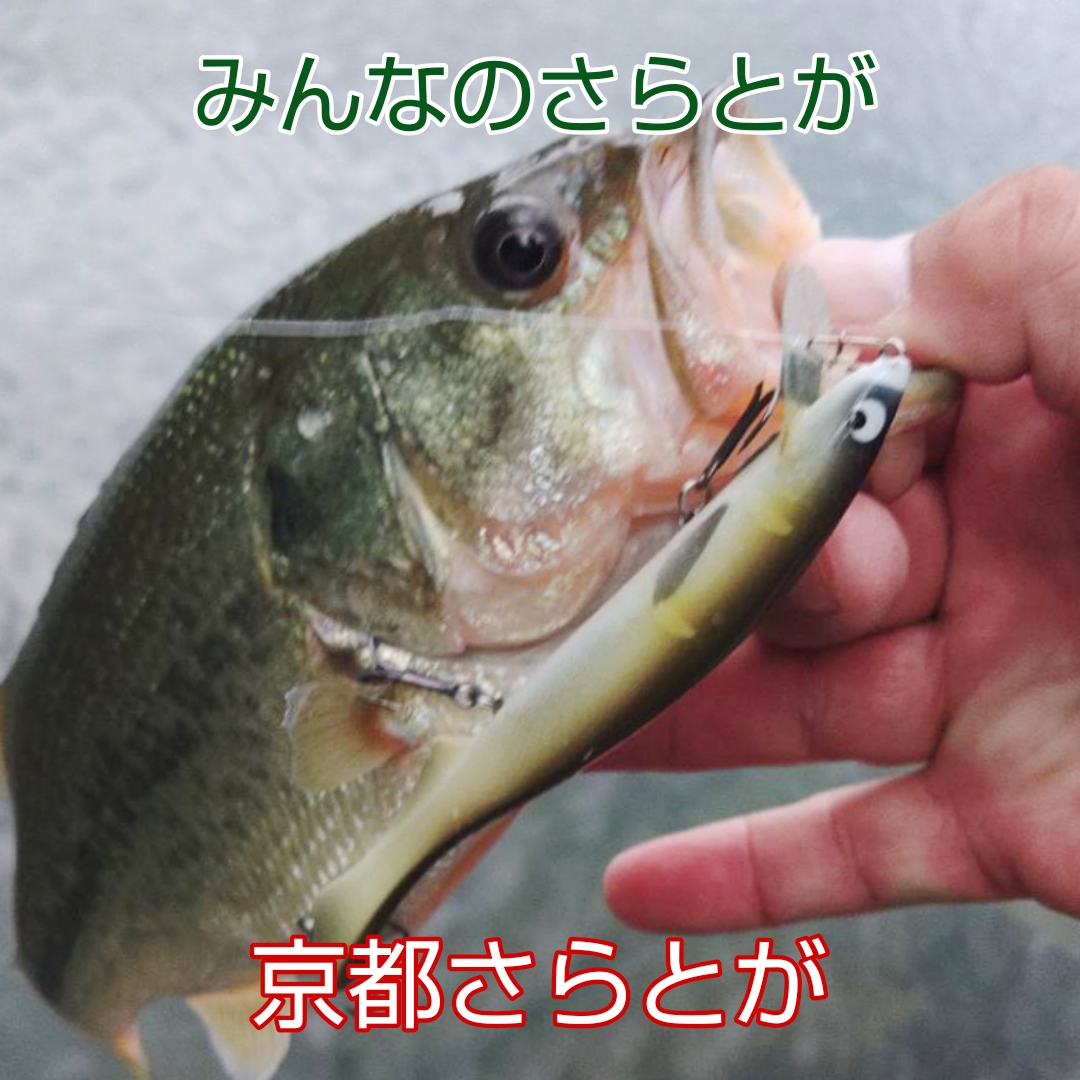 さらとが通信 9月2日更新