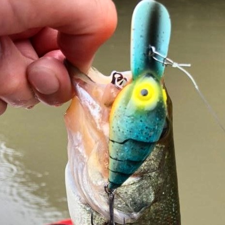 さらとが通信(みんなのさらとが)7/9更新