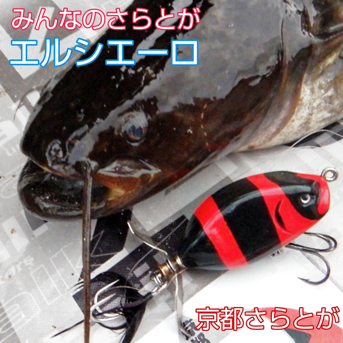 みんなのさらとが10月9日更新