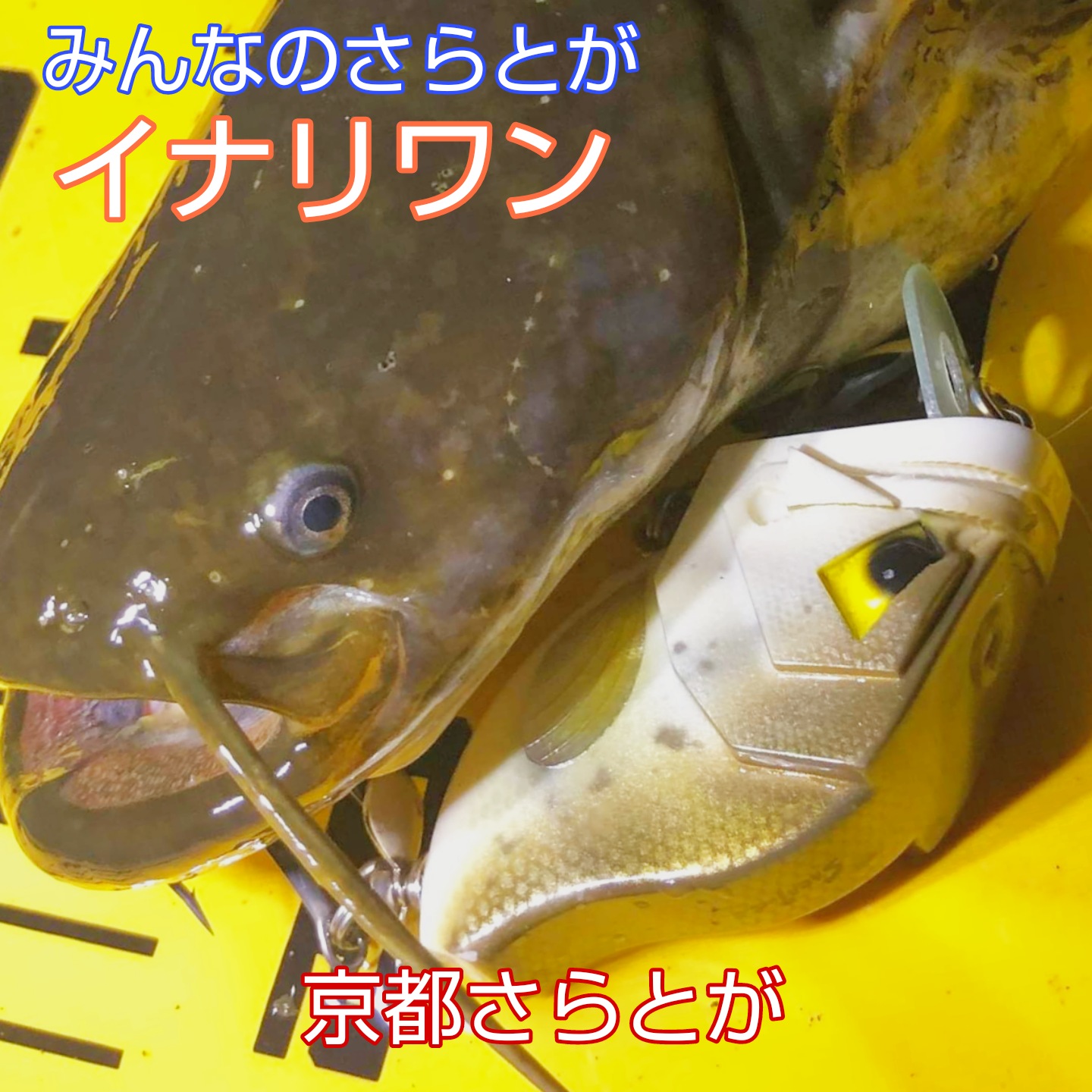 みんなのさらとが4月10日更新