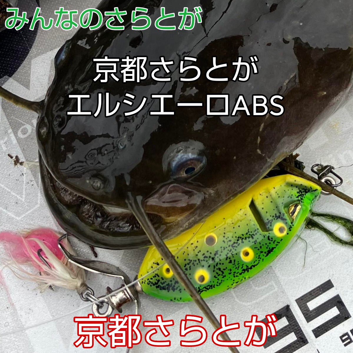 みんなのさらとが9月24日更新