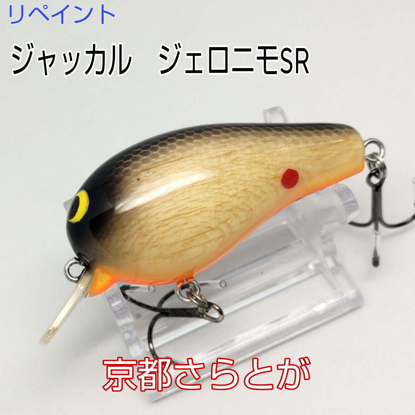 さらとが通信6月18日更新