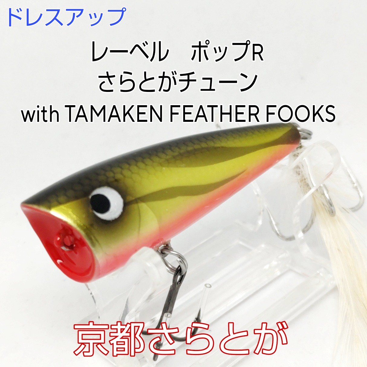 さらとが通信11月13日更新