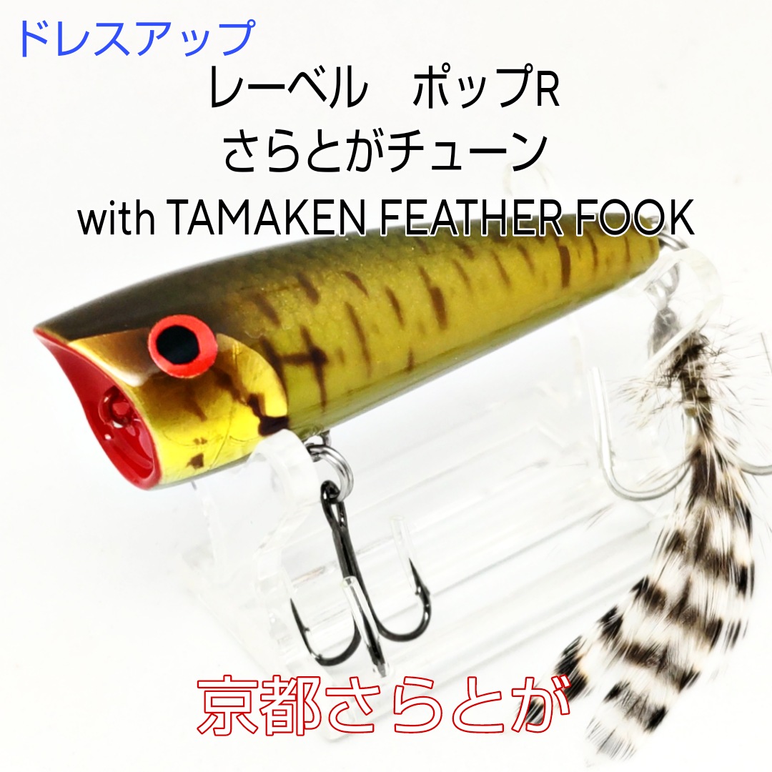 さらとが通信11月12日更新