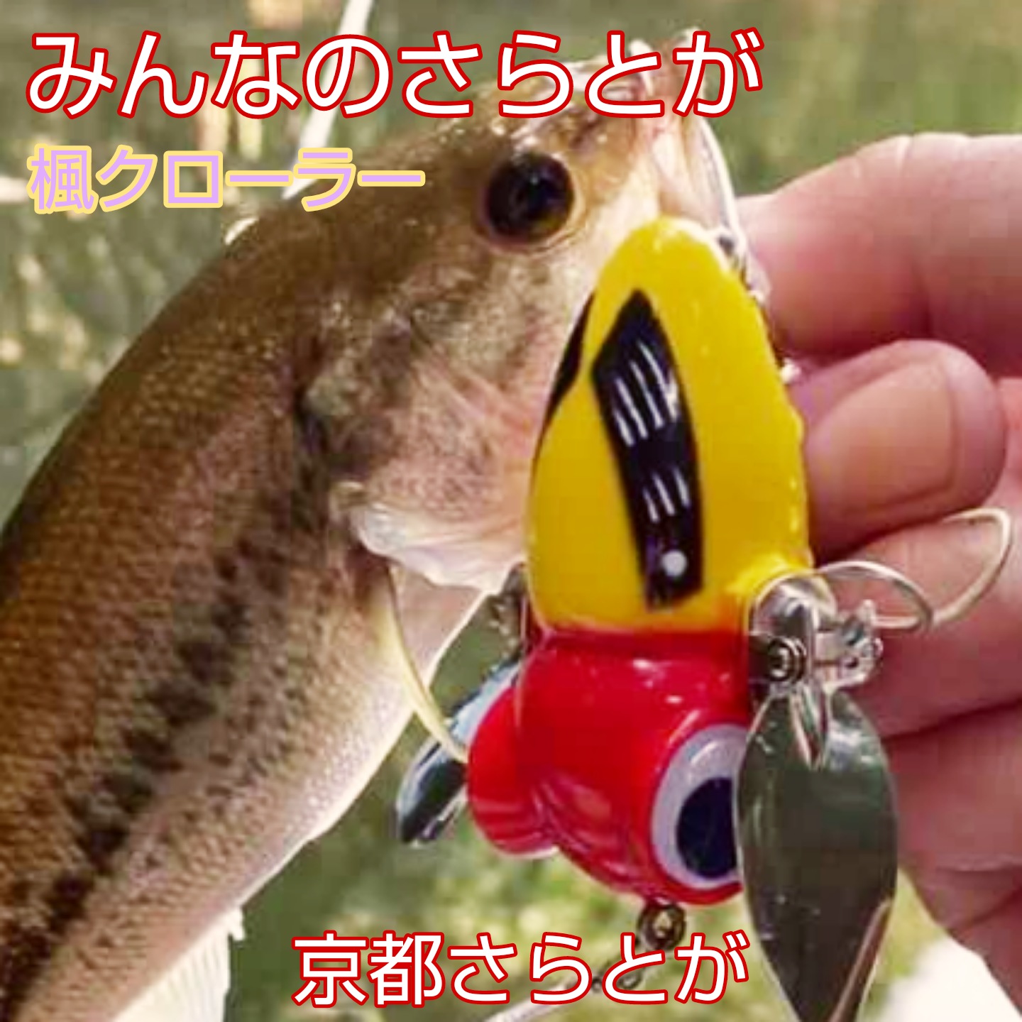 みんなのさらとが9月25日更新