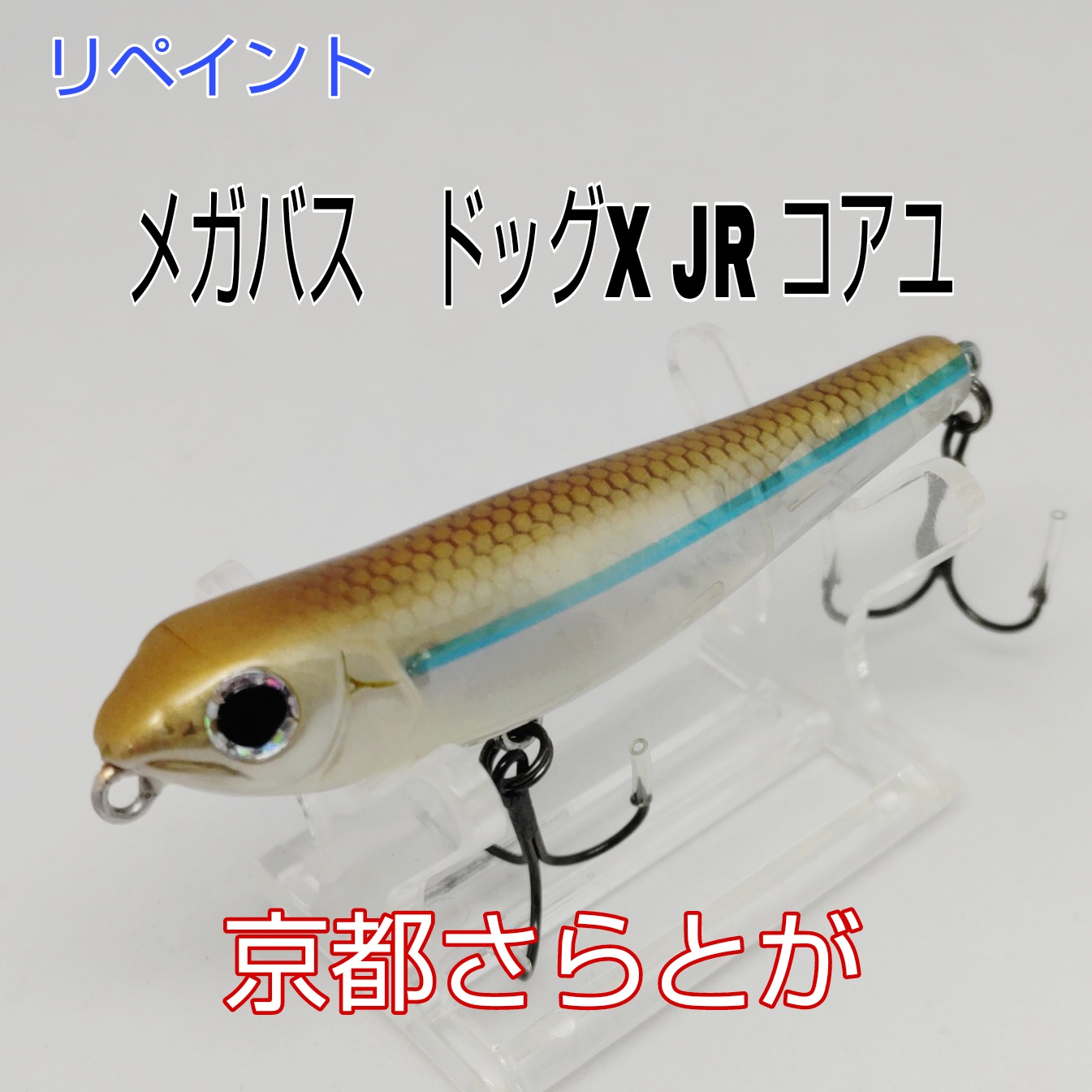 さらとが通信 5月2日更新