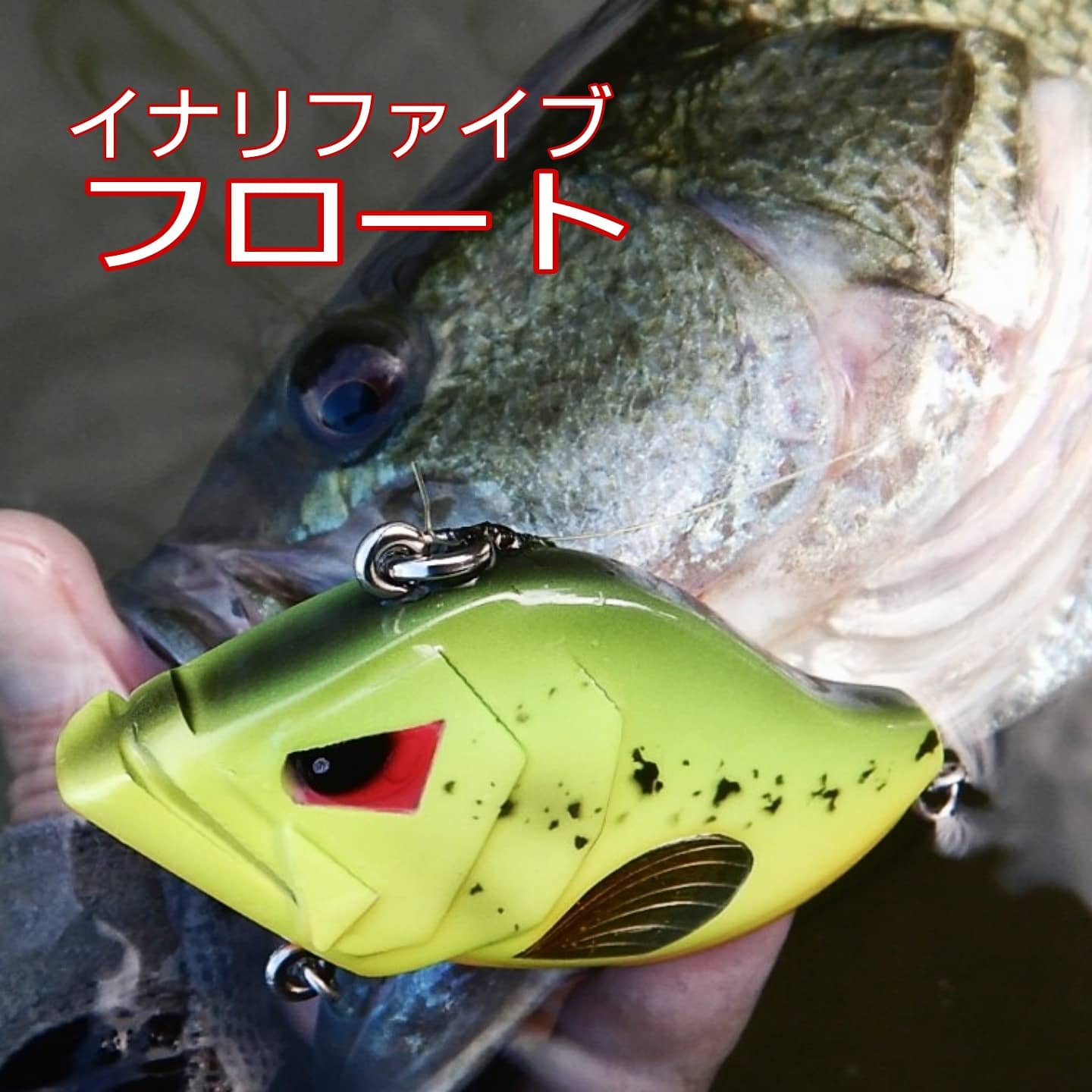 さらとが通信(みんなのさらとが)7月28日更新