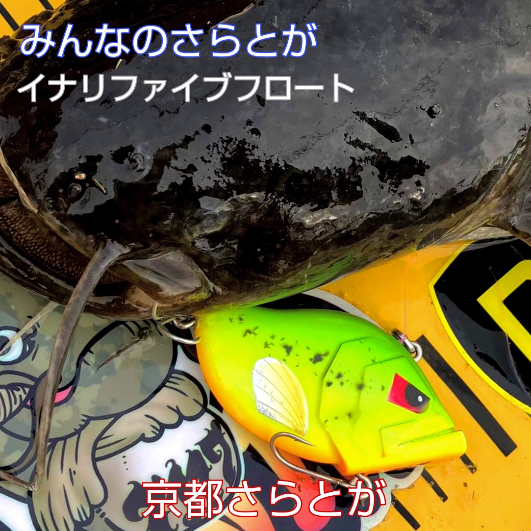 みんなのさらとが6月5日更新