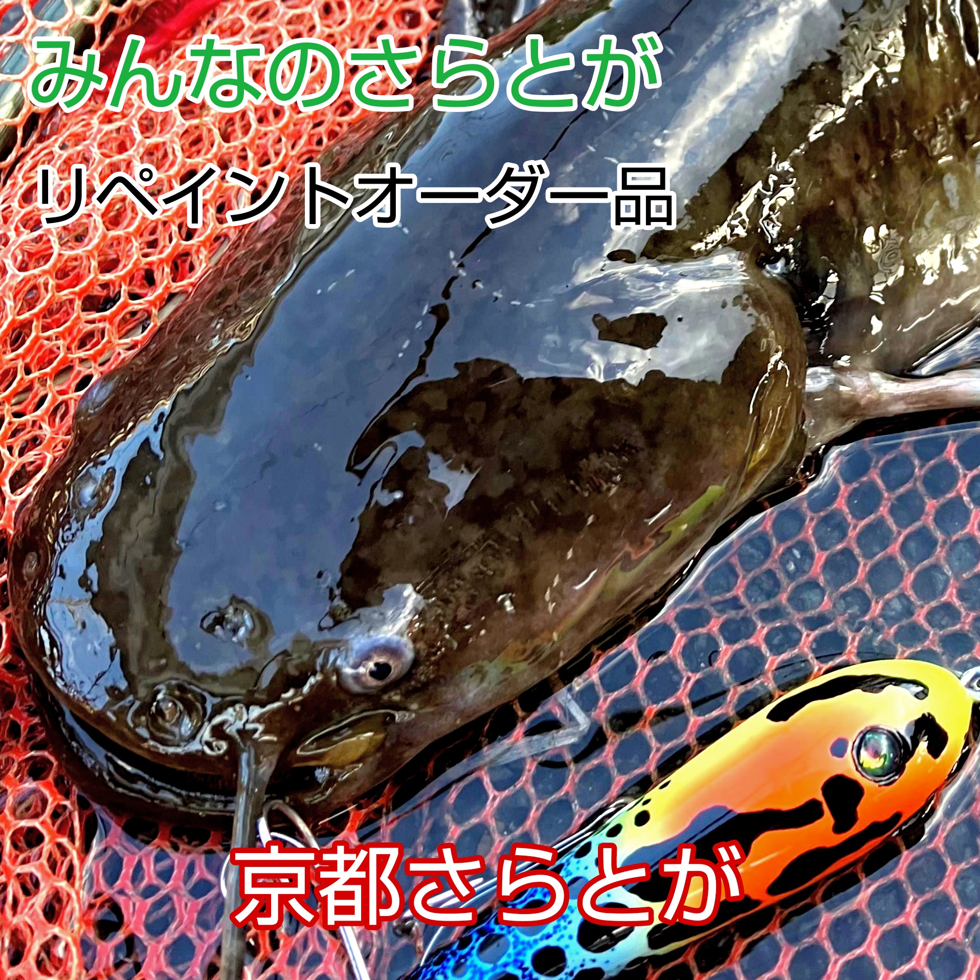 みんなのさらとが4月17日更新