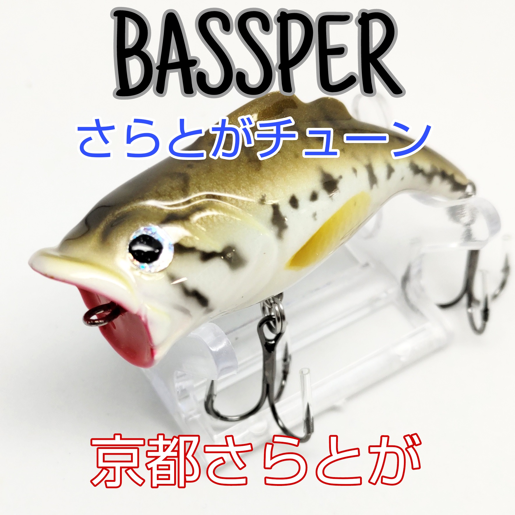 さらとが通信1月21日更新