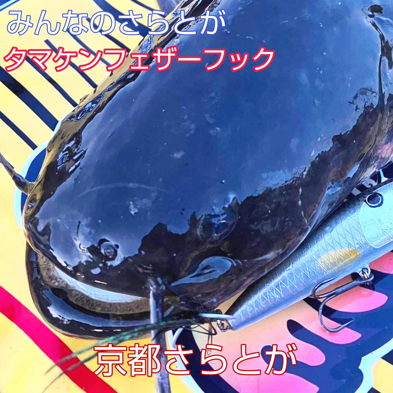 みんなのさらとが6月9日更新