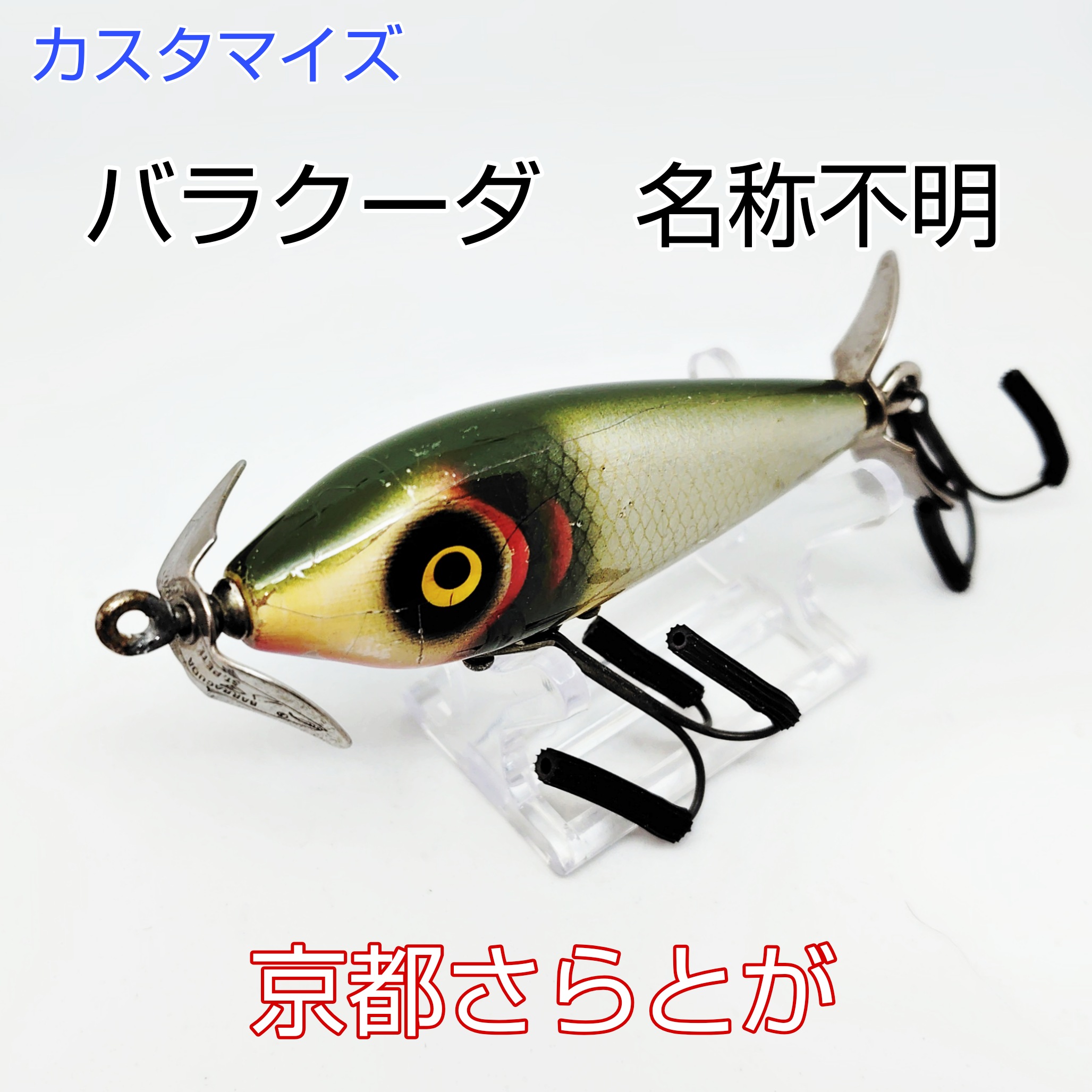 さらとが通信　6月8日更新