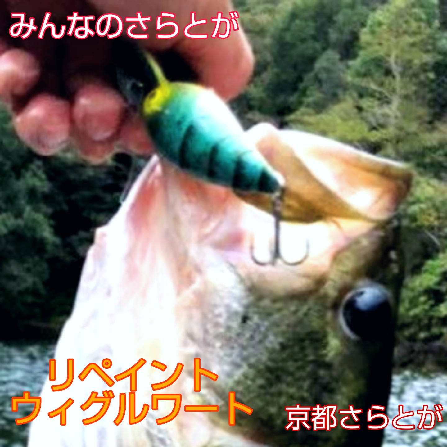 みんなのさらとが10月17日更新