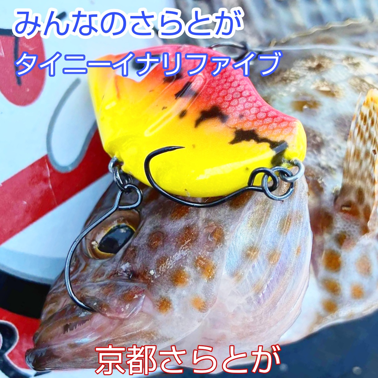 みんなのさらとが7月24日更新