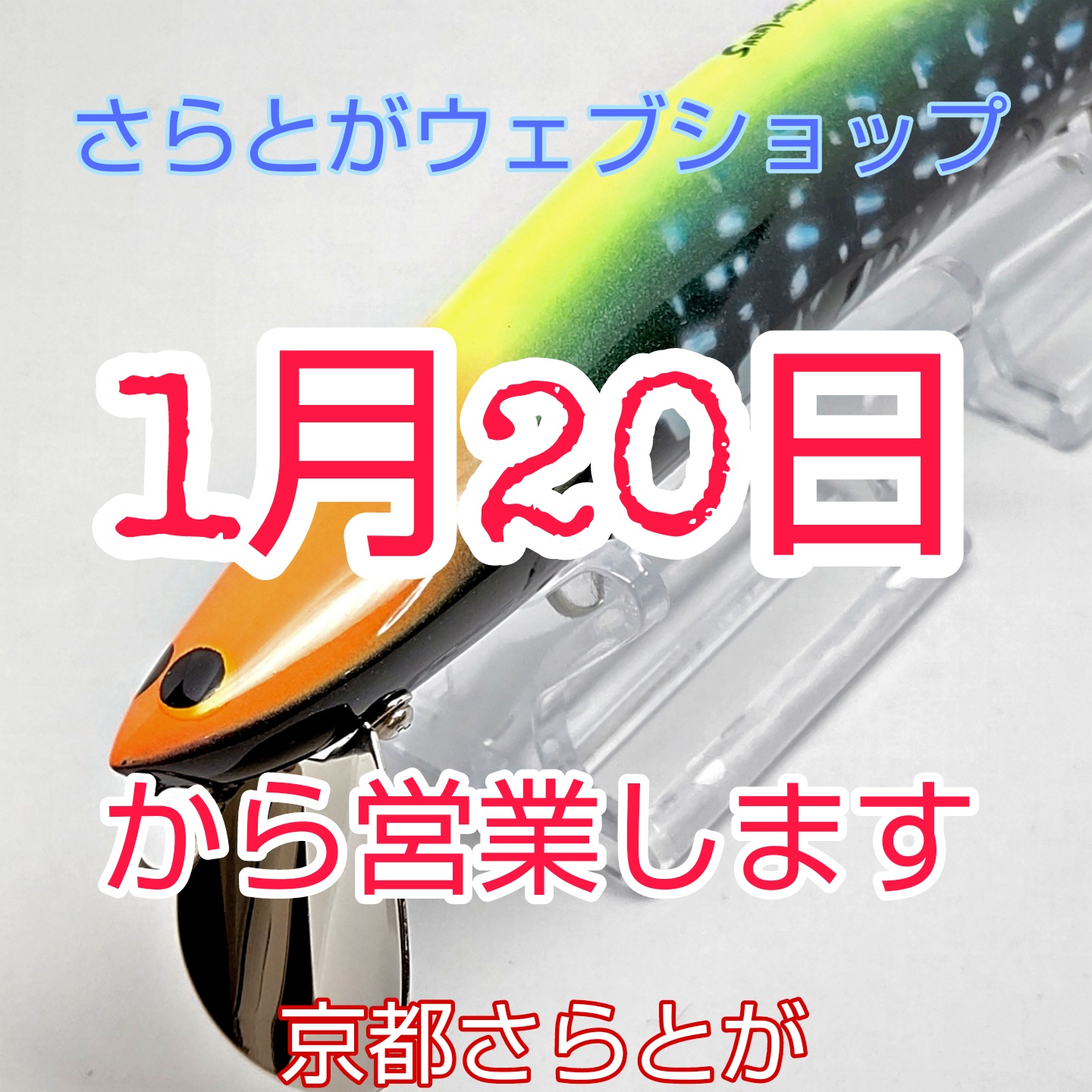 さらとが通信1月7日更新