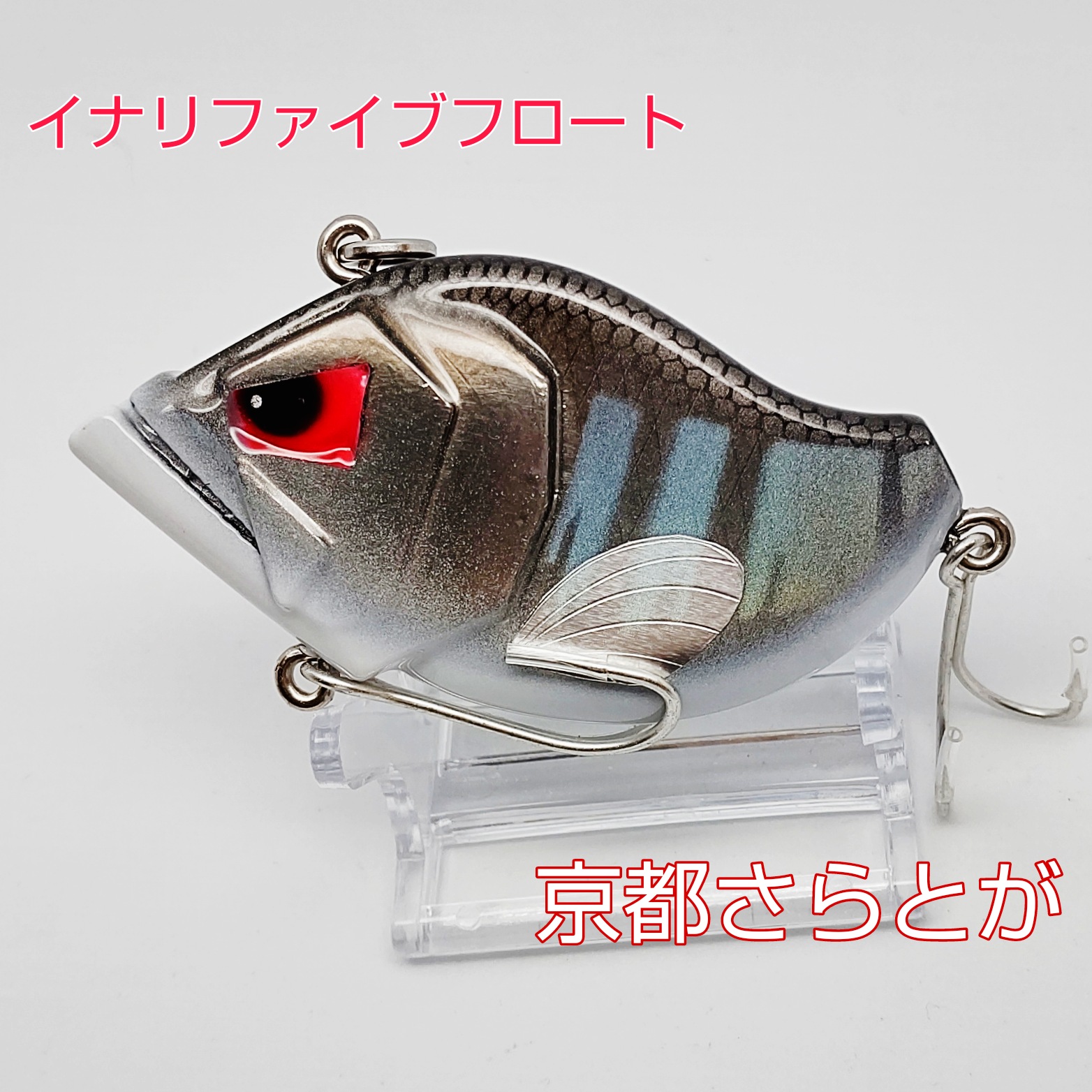 さらとが通信8月22日更新