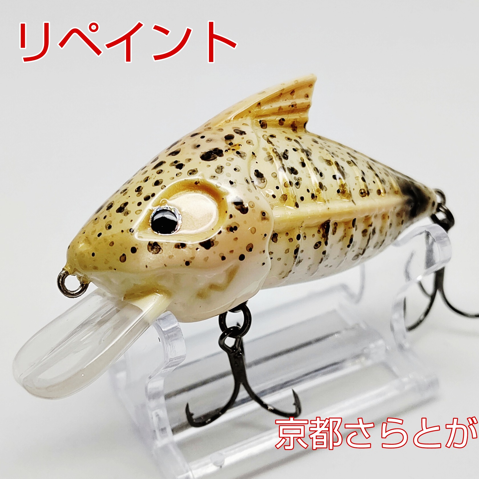 さらとが通信8月21日更新