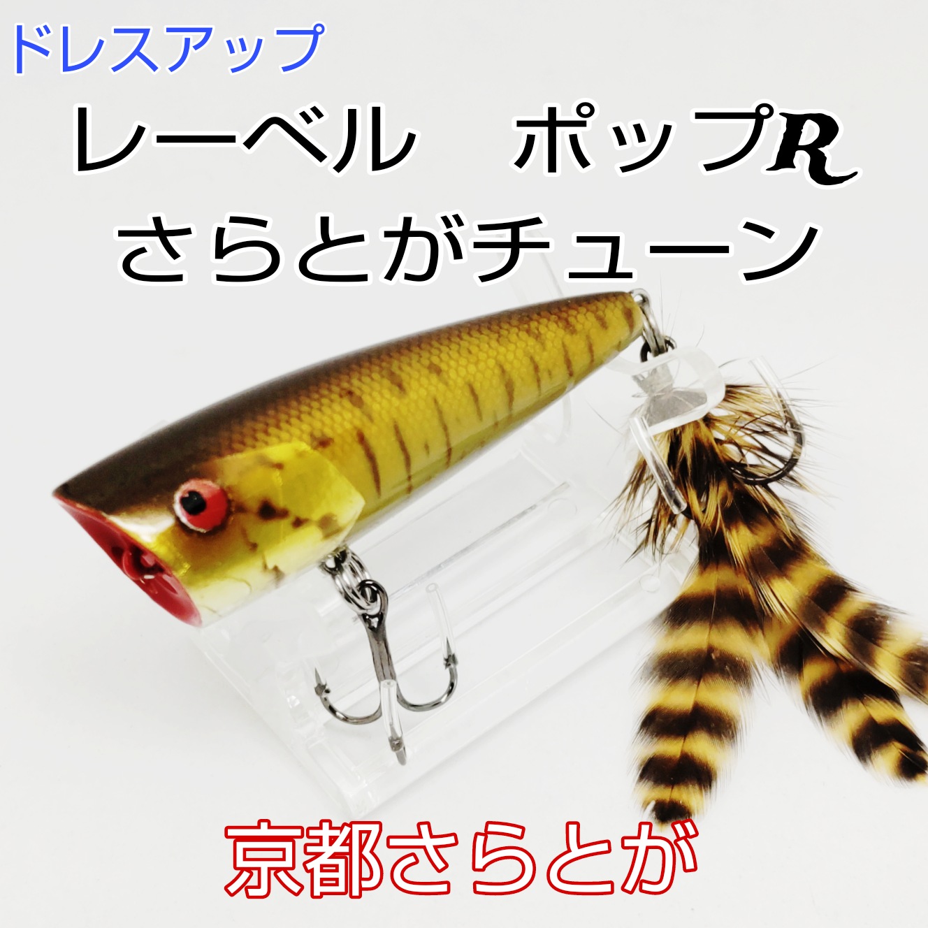 さらとが通信 8月29日更新