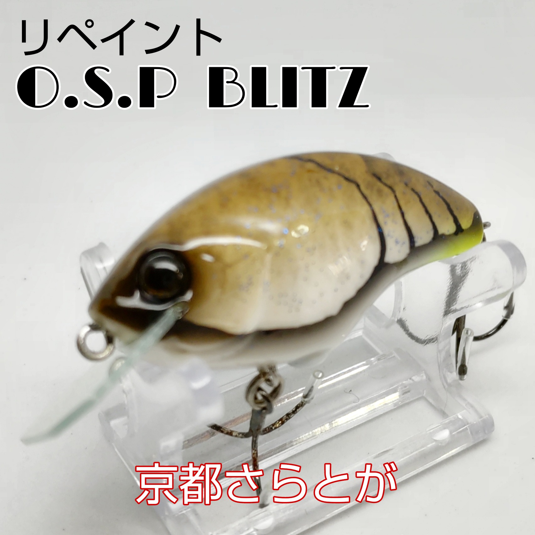 さらとが通信6月8日更新