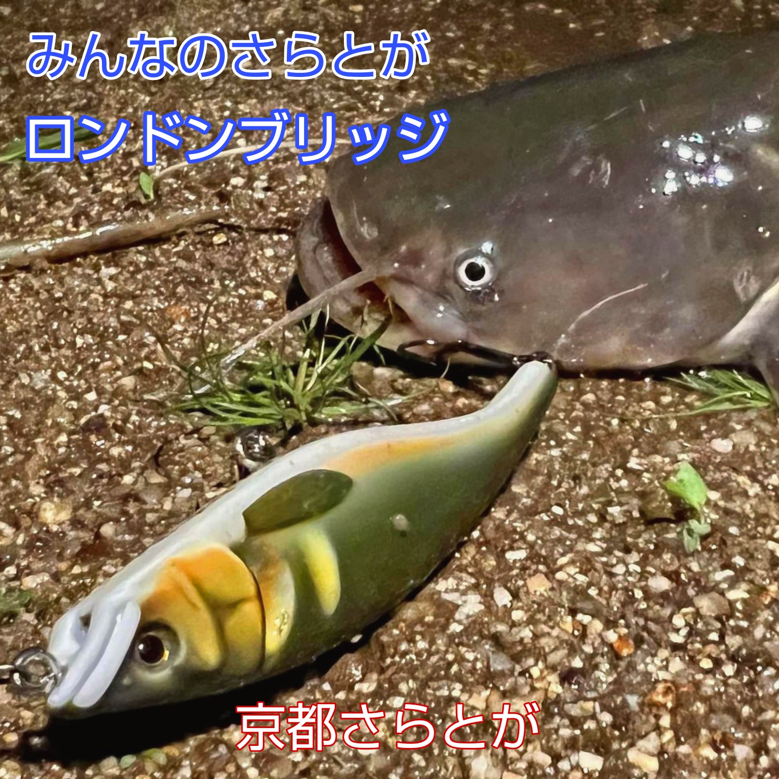 みんなのさらとが4月28日更新