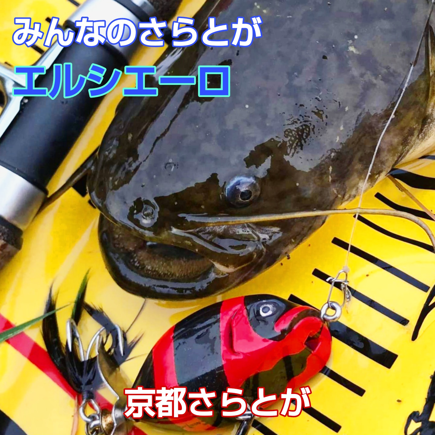 みんなのさらとが4月15日更新