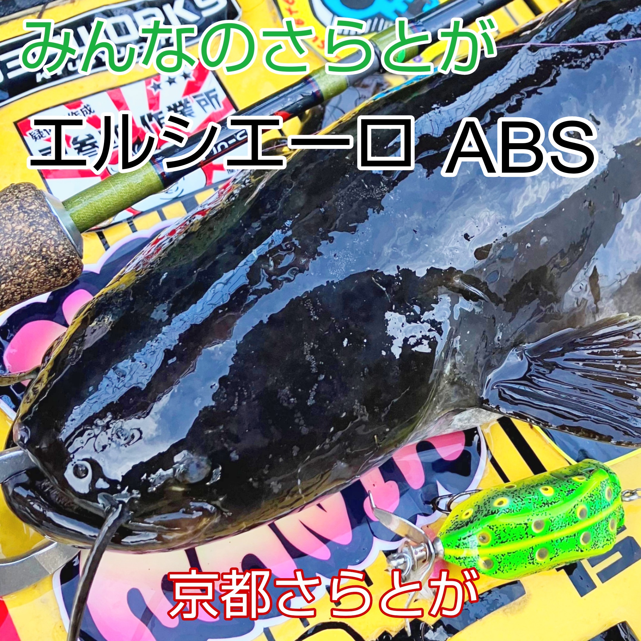 みんなのさらとが4月18日更新