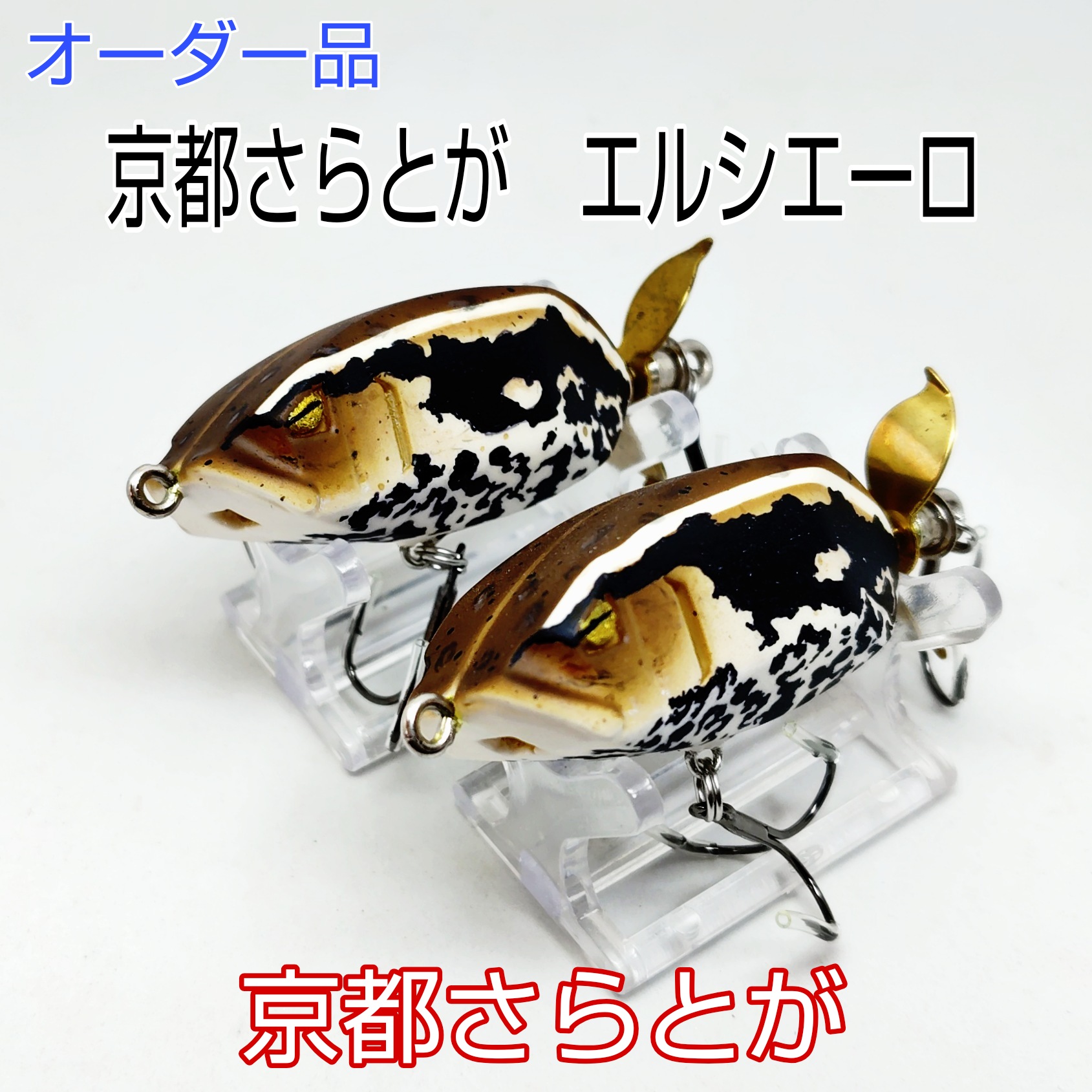 さらとが通信　6月19日更新