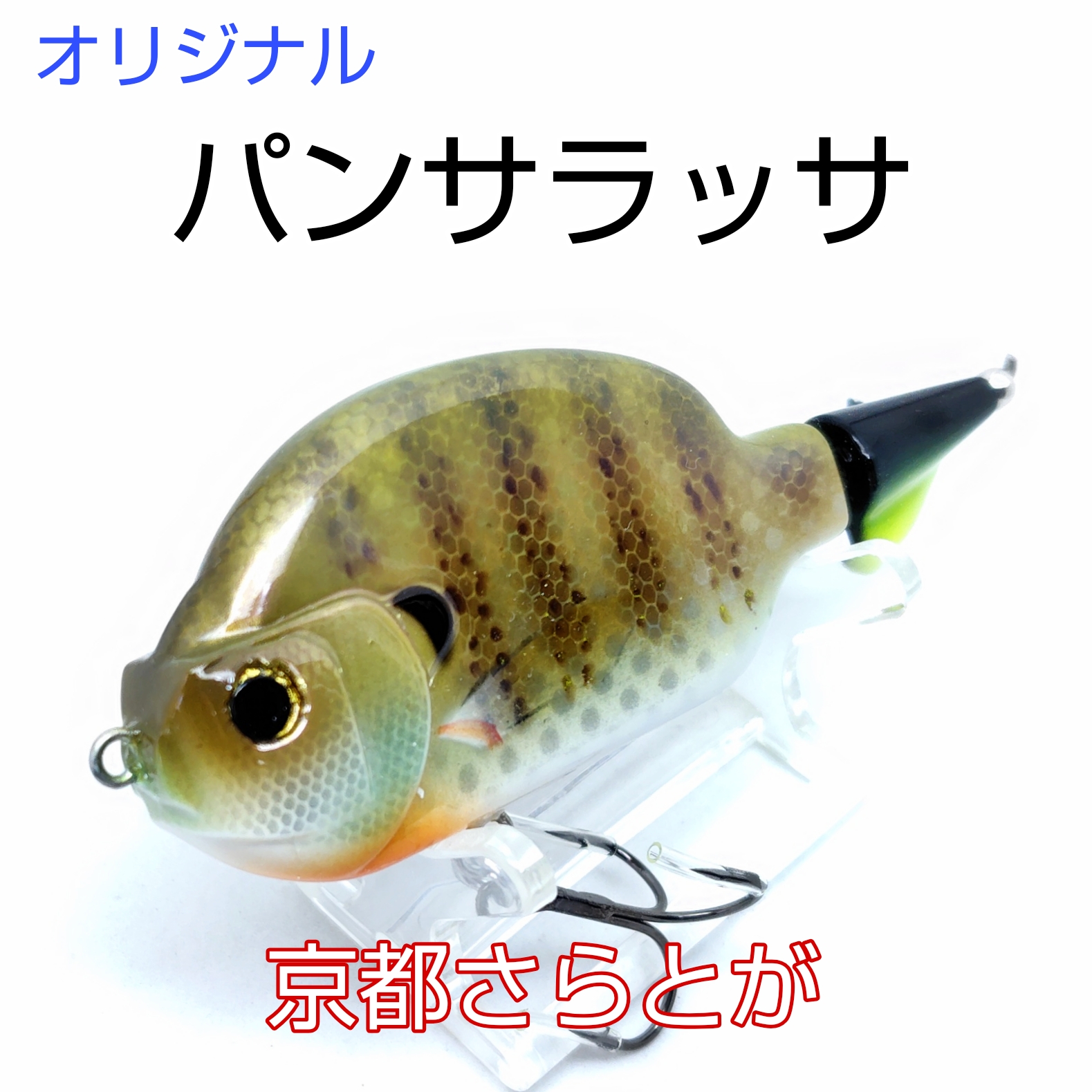 さらとが通信 10月31日更新