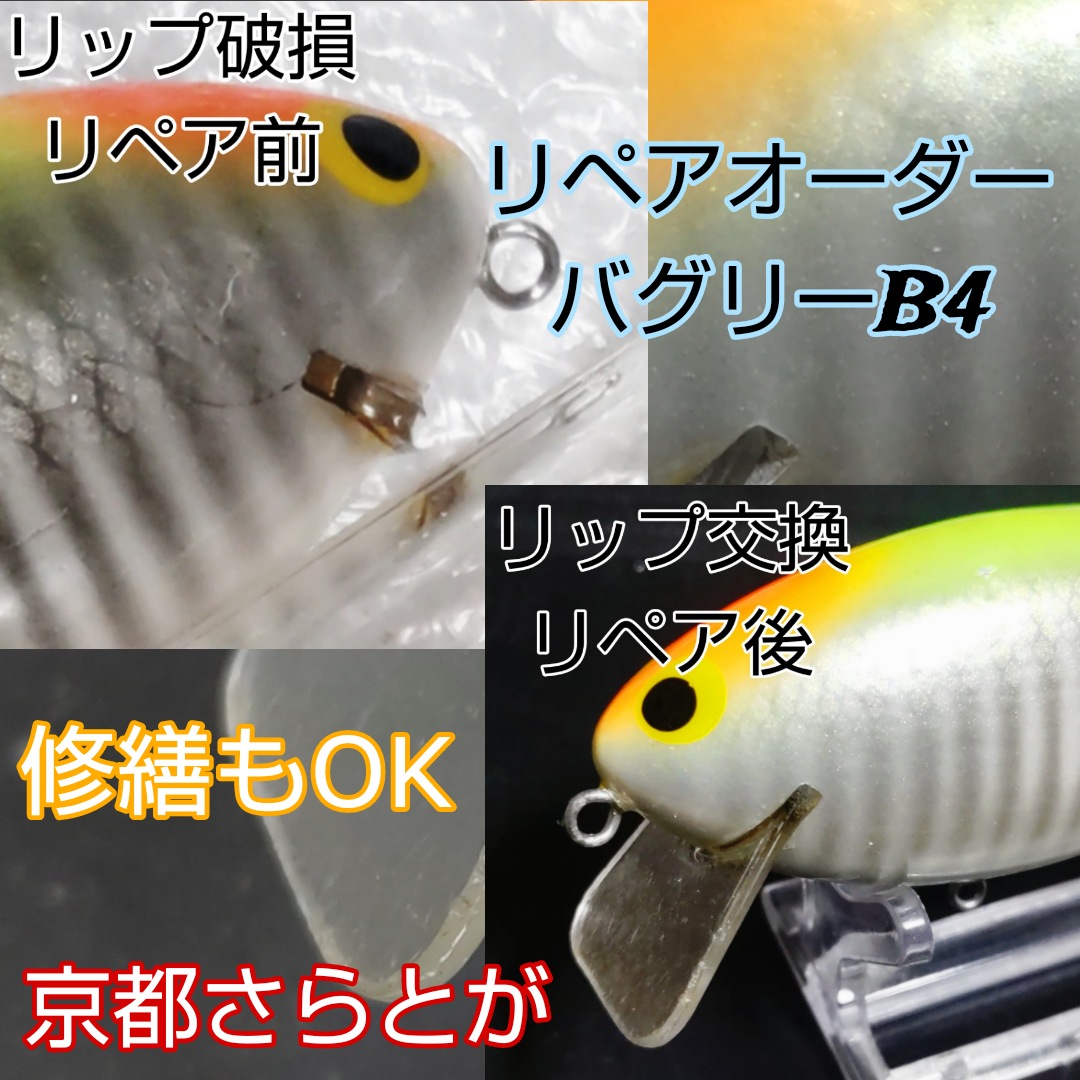 さらとが通信 11月7日更新