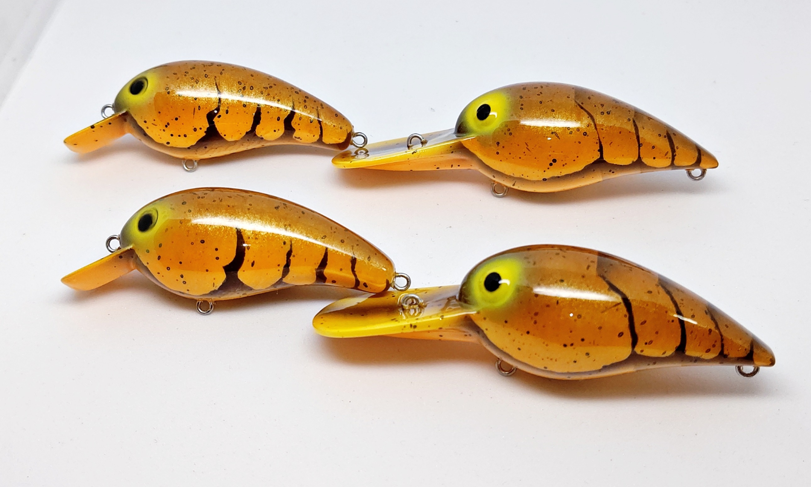 さらとが通信6月24日更新