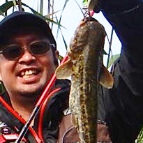 さらとが通信5月28日更新