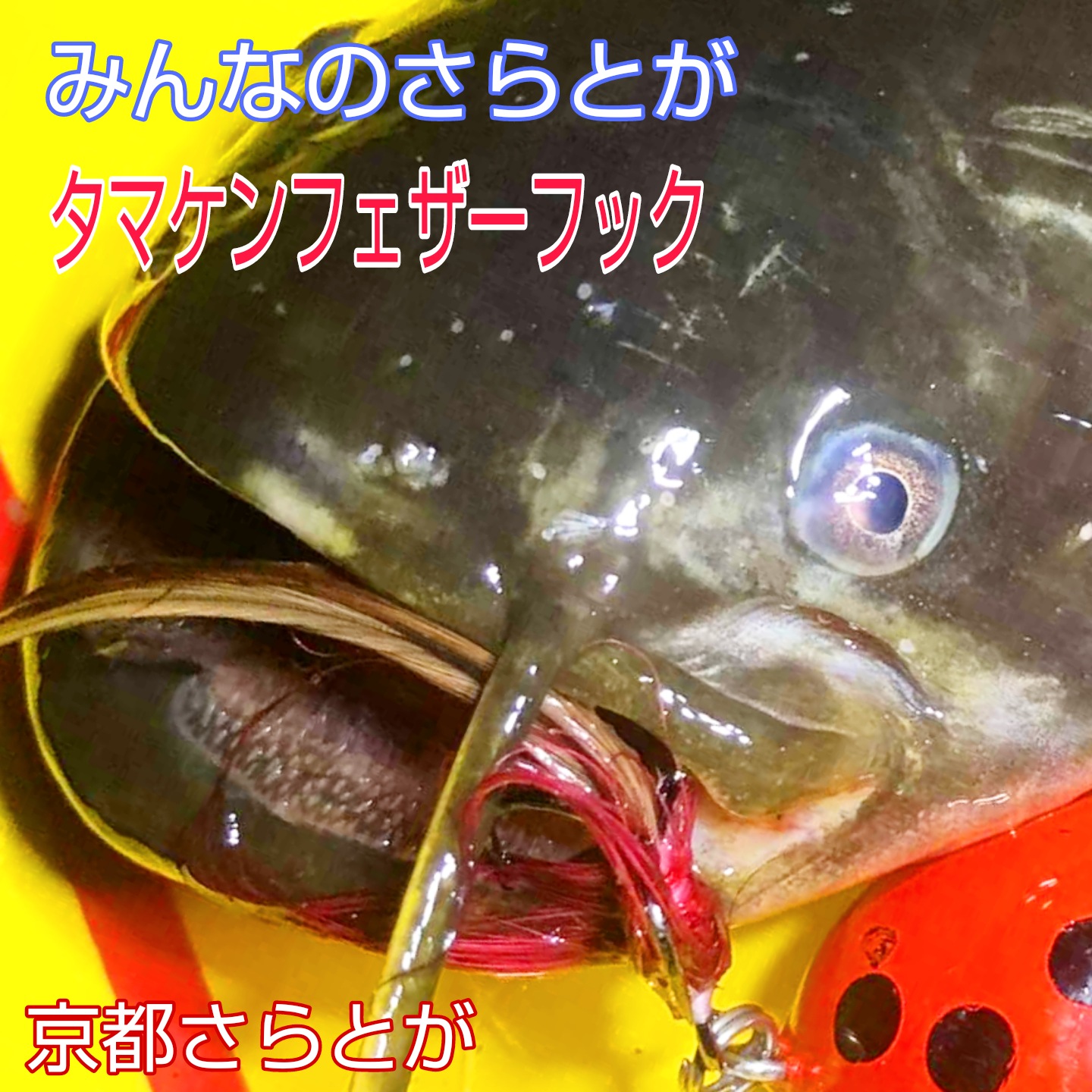 みんなのさらとが4月9日更新