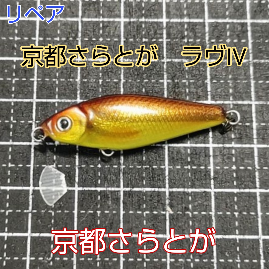 さらとが通信　4月30日更新