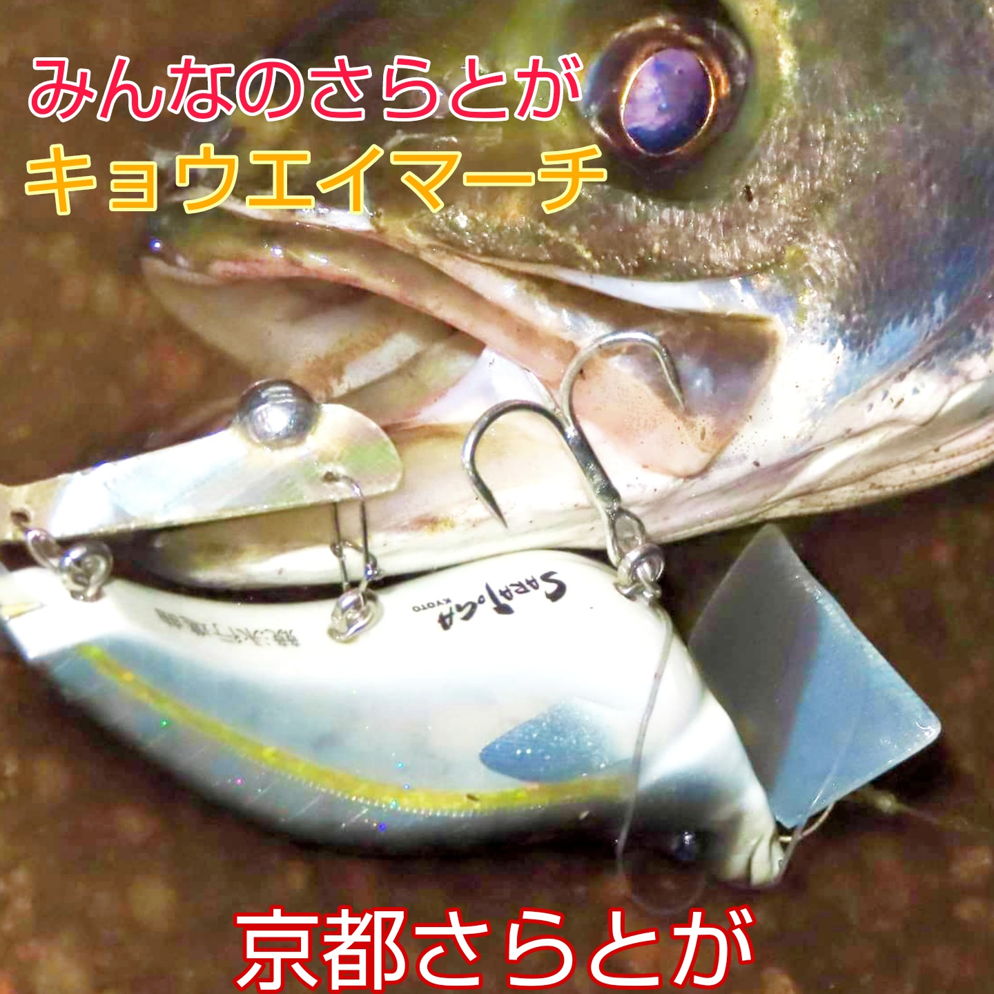 みんなのさらとが9月30日更新