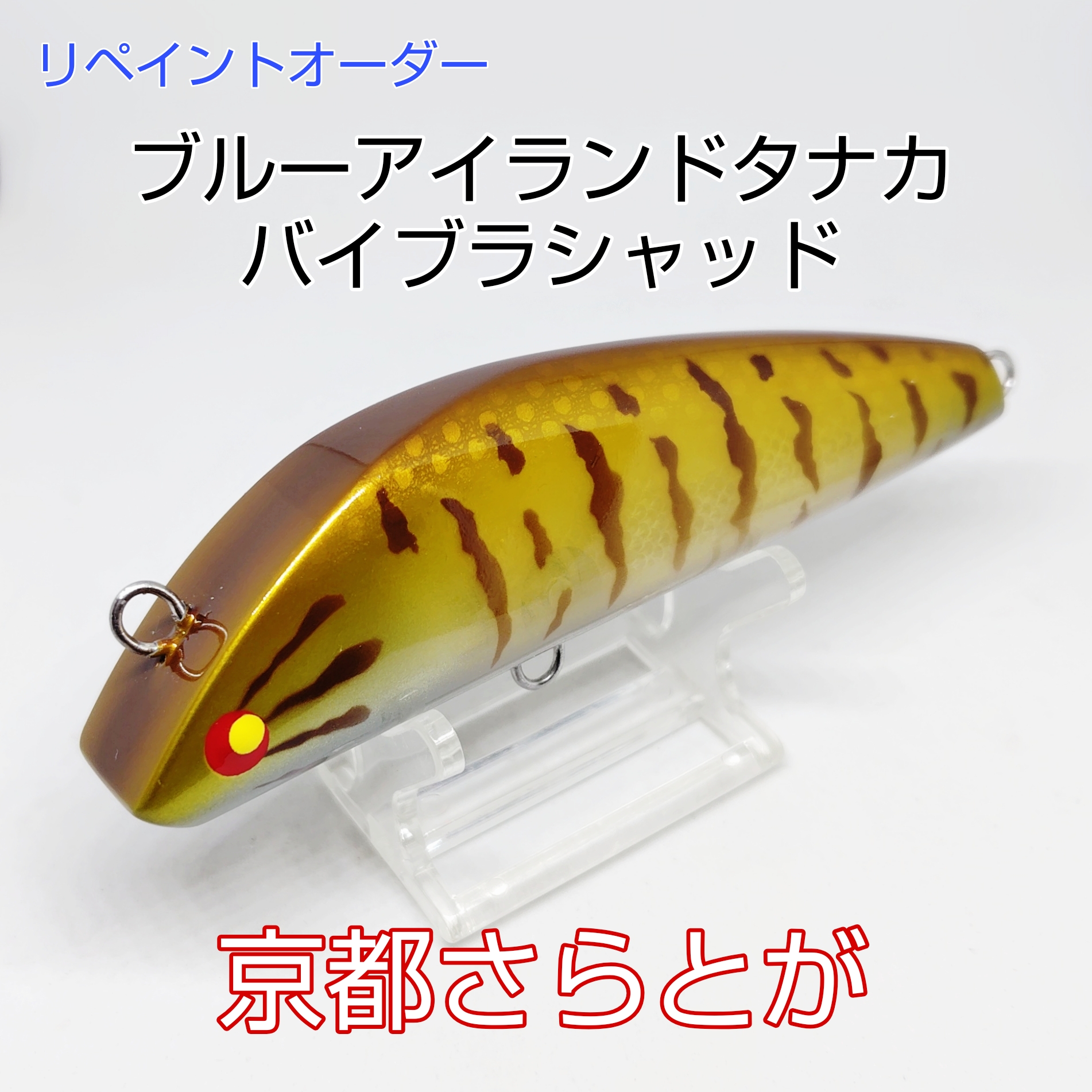 さらとが通信　2月27日更新