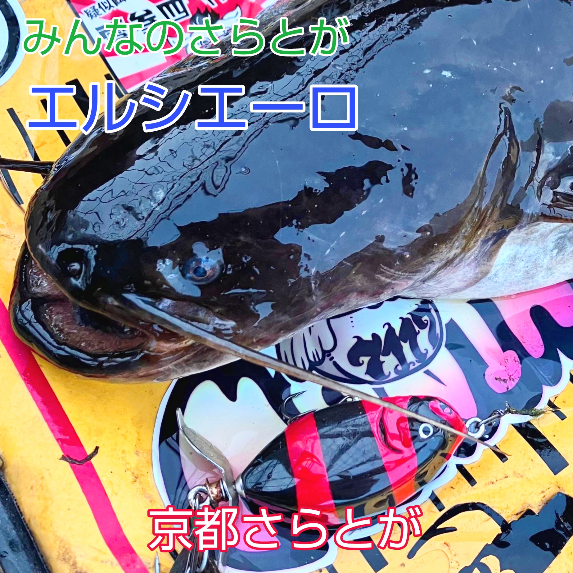 みんなのさらとが4月13日更新