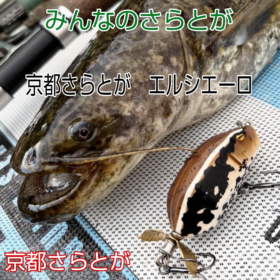さらとが通信　7月14日更新