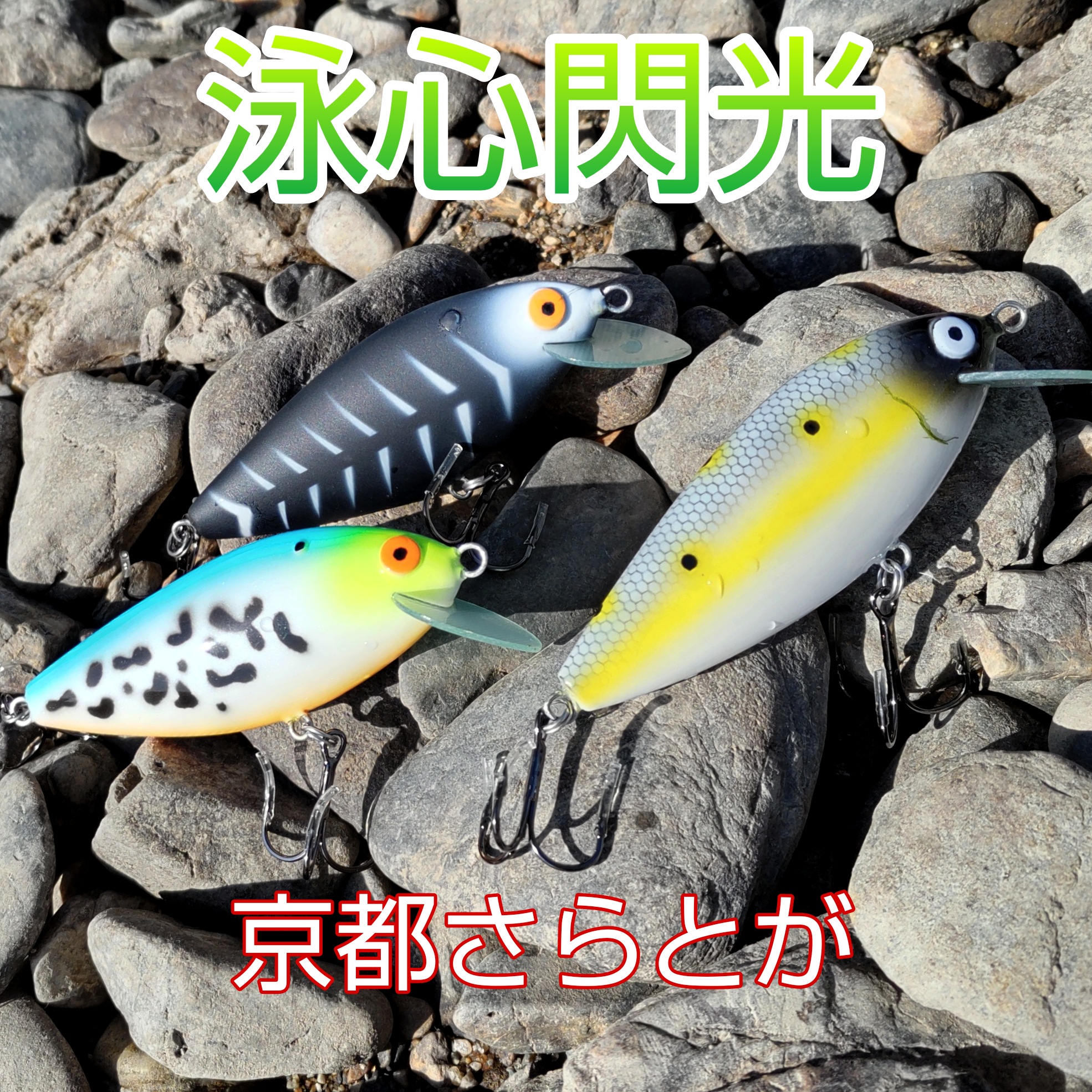 さらとが通信11月28日更新