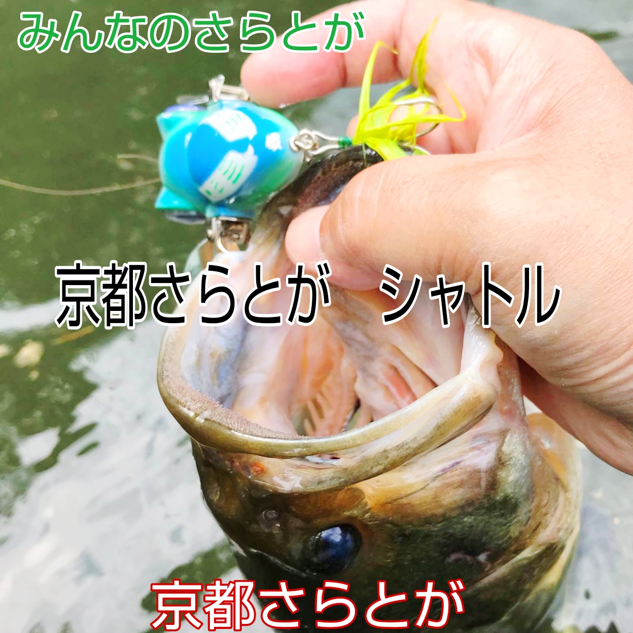 みんなのさらとが　5月11日号