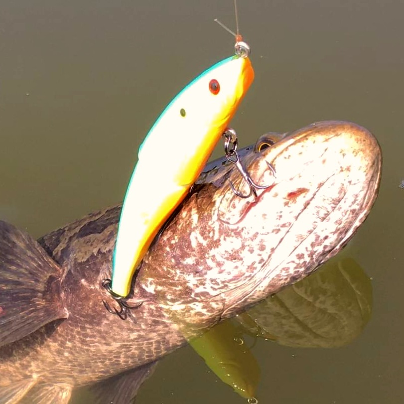 さらとが通信(みんなのさらとが)7月22日更新