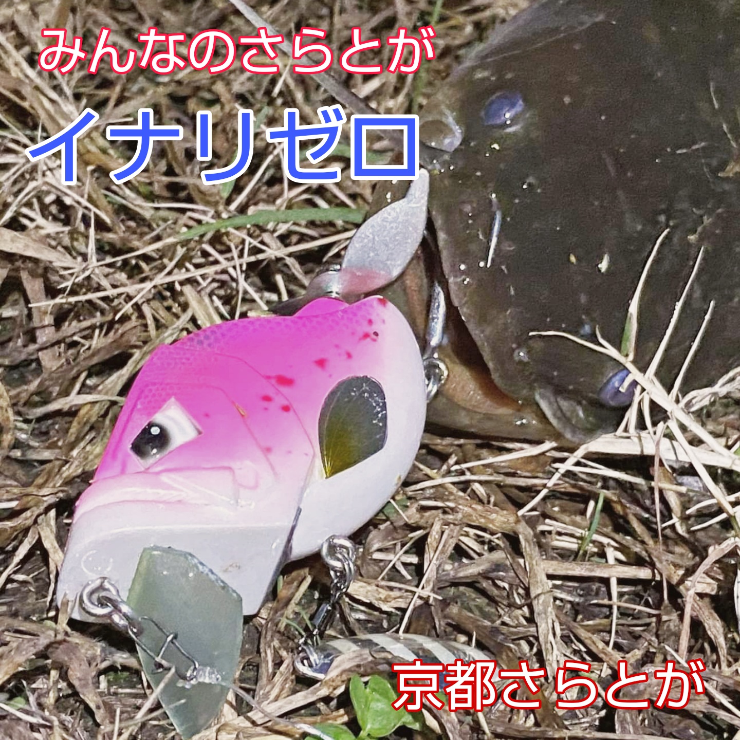 みんなのさらとが10月1日更新