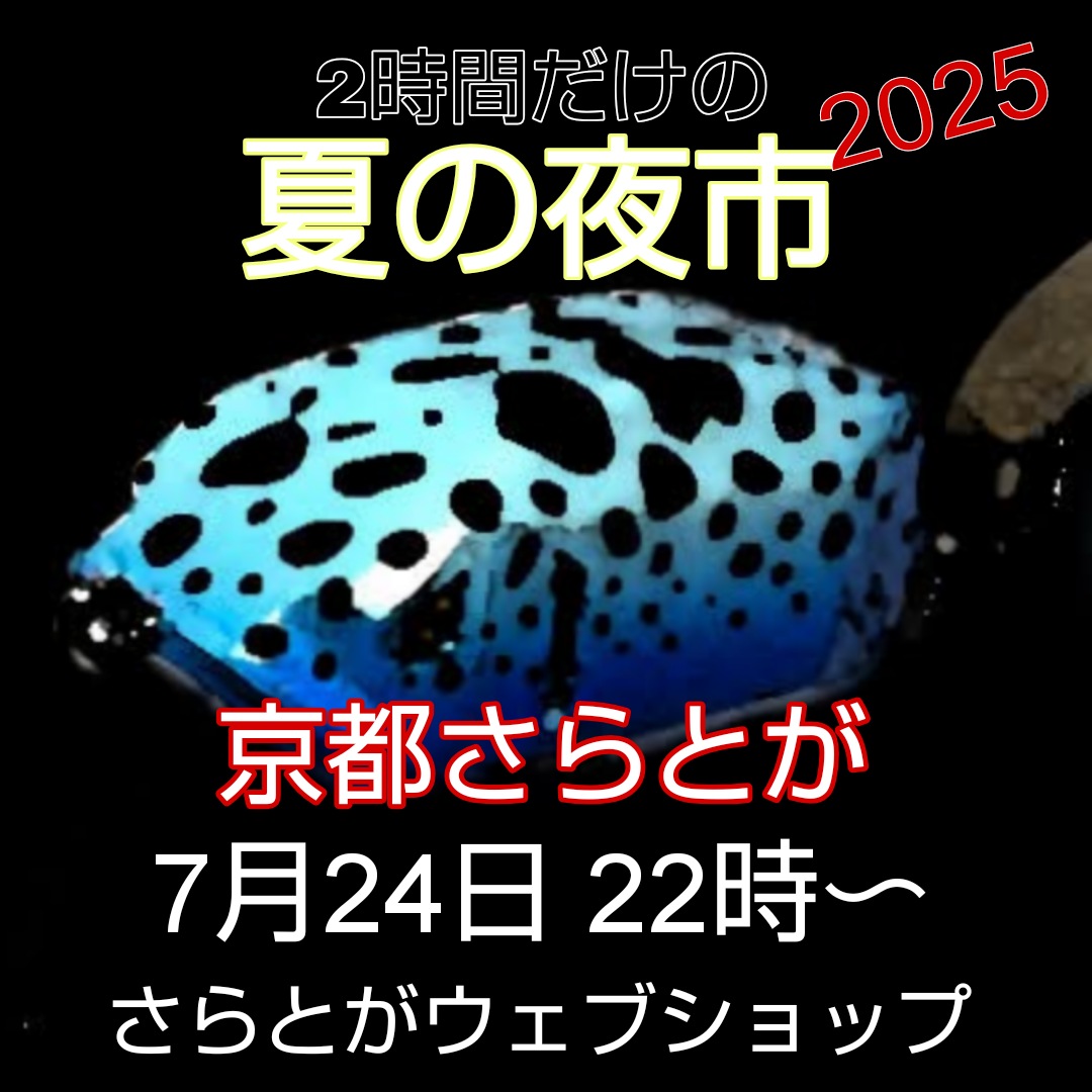 さらとが通信 7月23日更新
