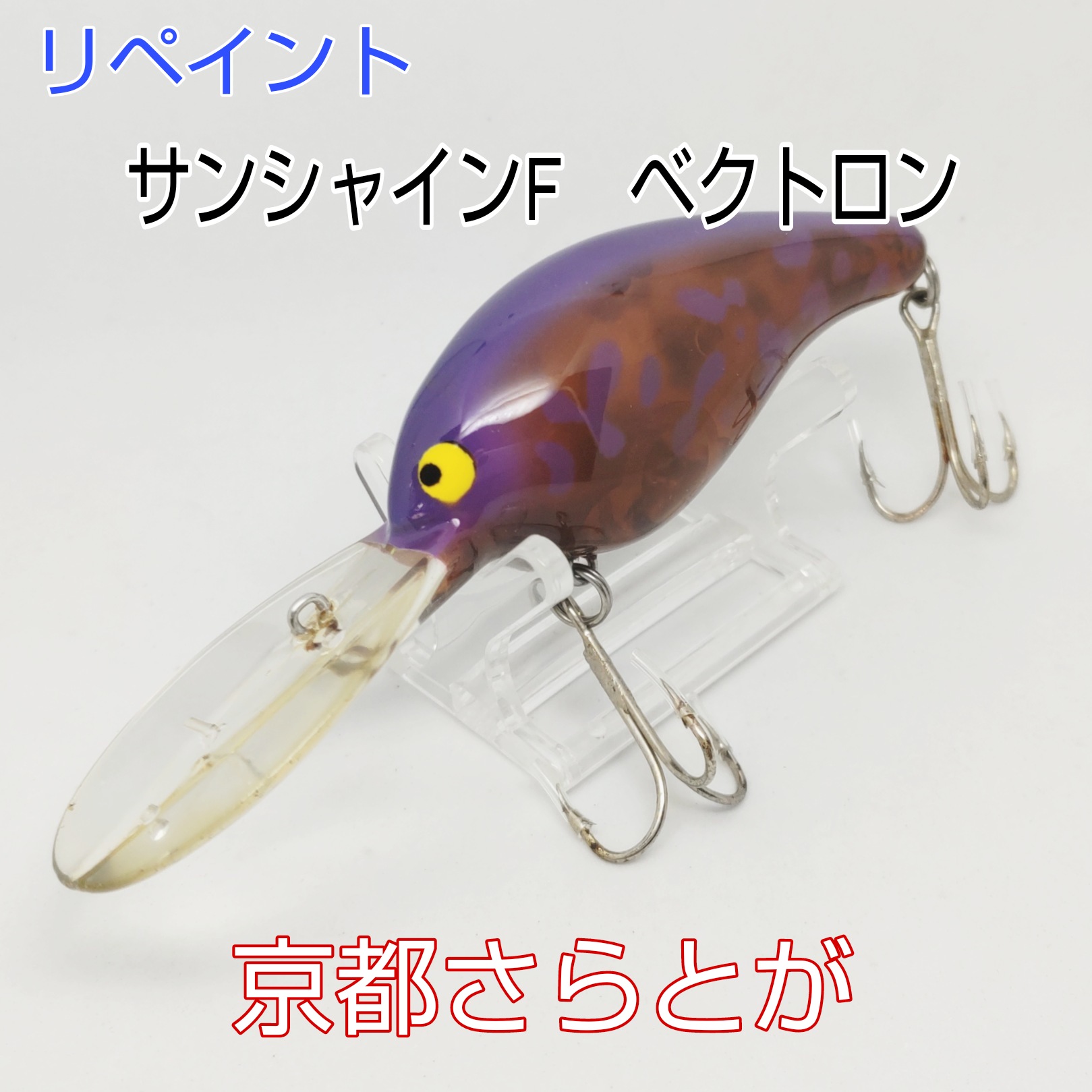 さらとが通信9月25日更新