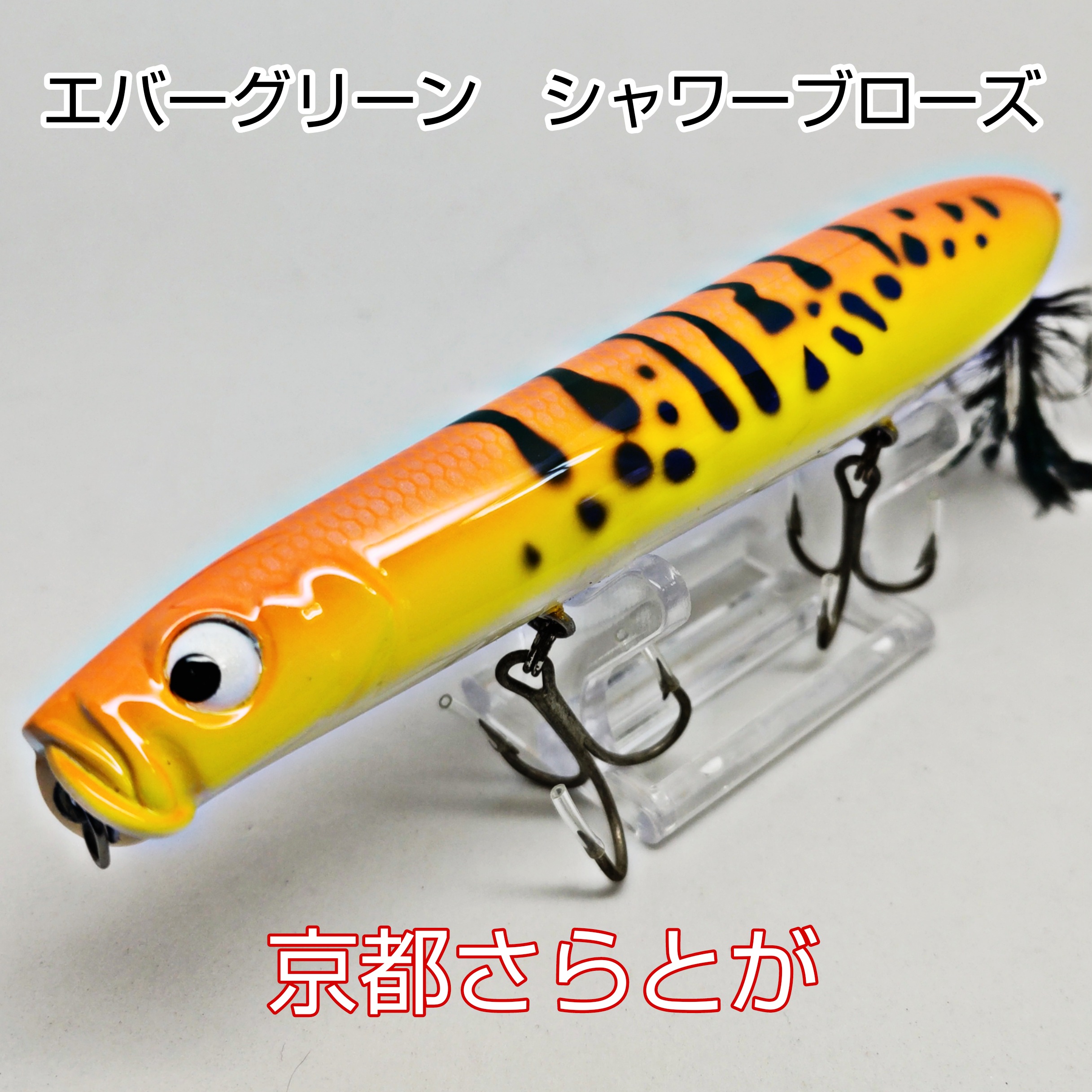 さらとが通信10月4日更新