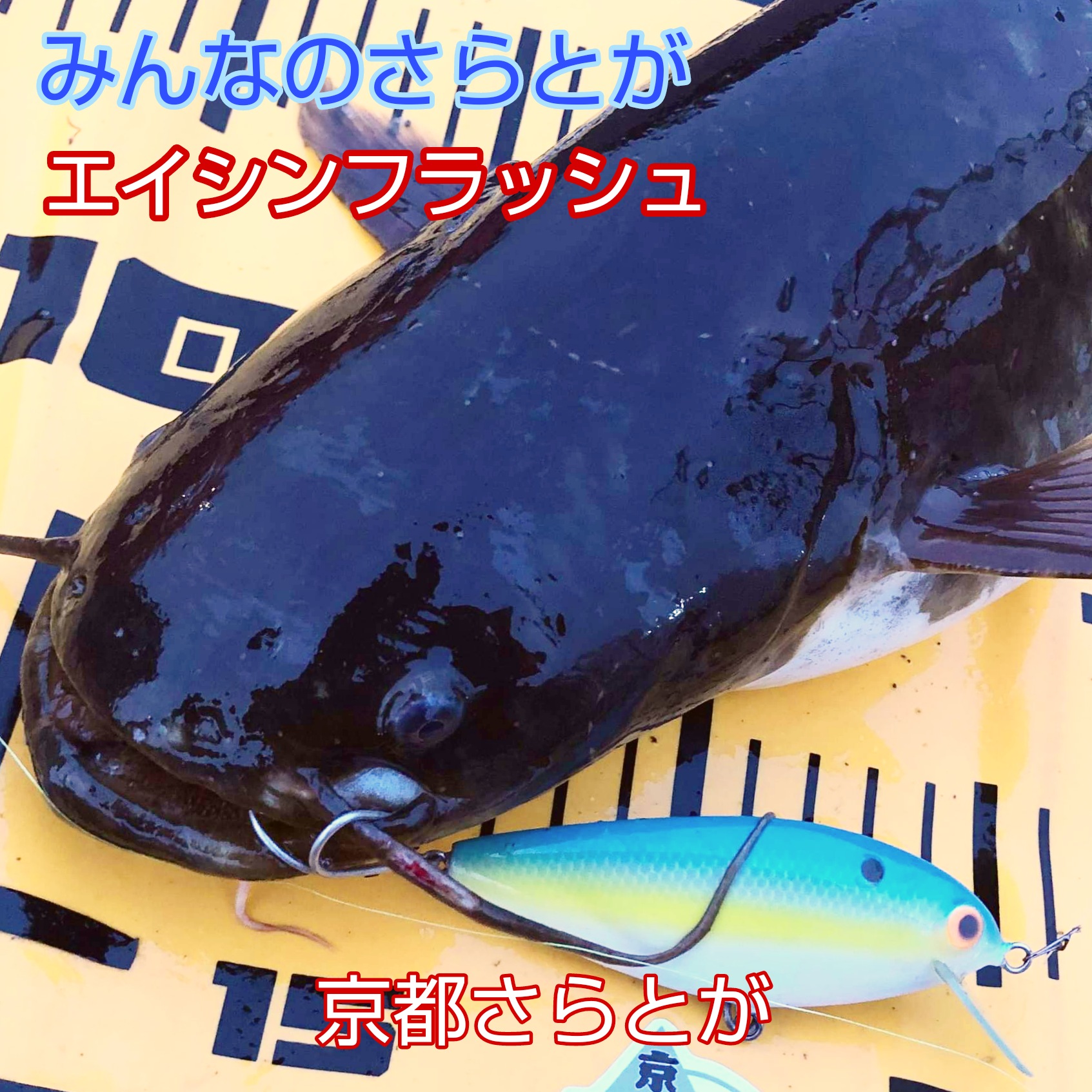 みんなのさらとが4月6日更新