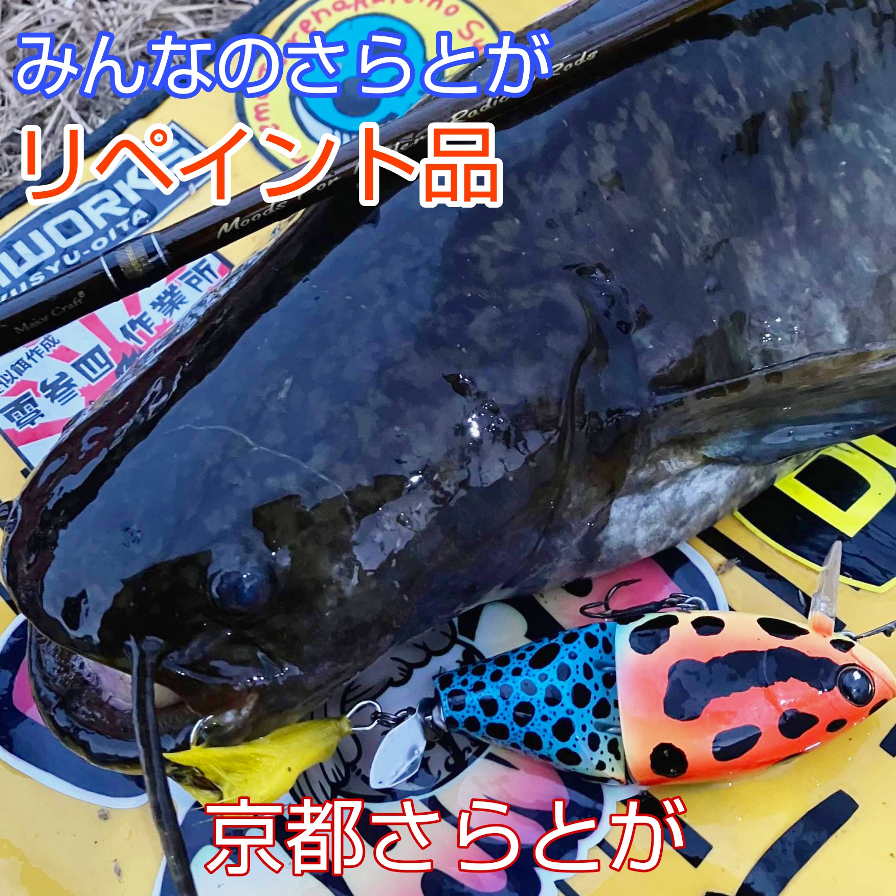 みんなのさらとが7月15日更新